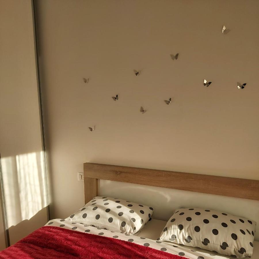 Apartman Miss T 波德戈里察 外观 照片