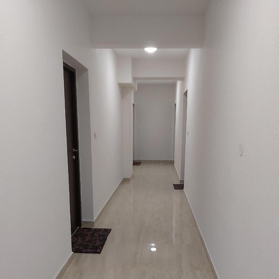Apartman Miss T 波德戈里察 外观 照片