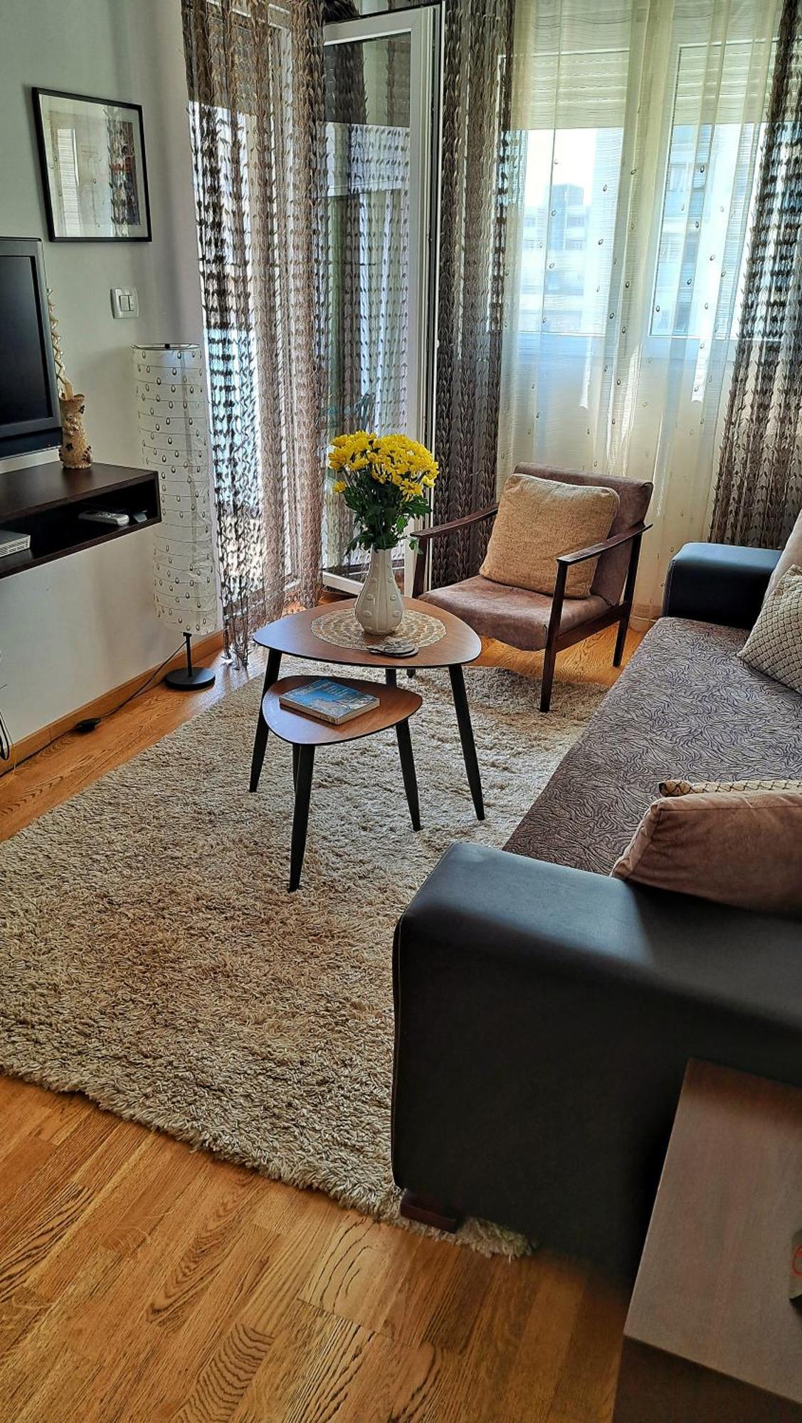 Apartman Miss T 波德戈里察 外观 照片